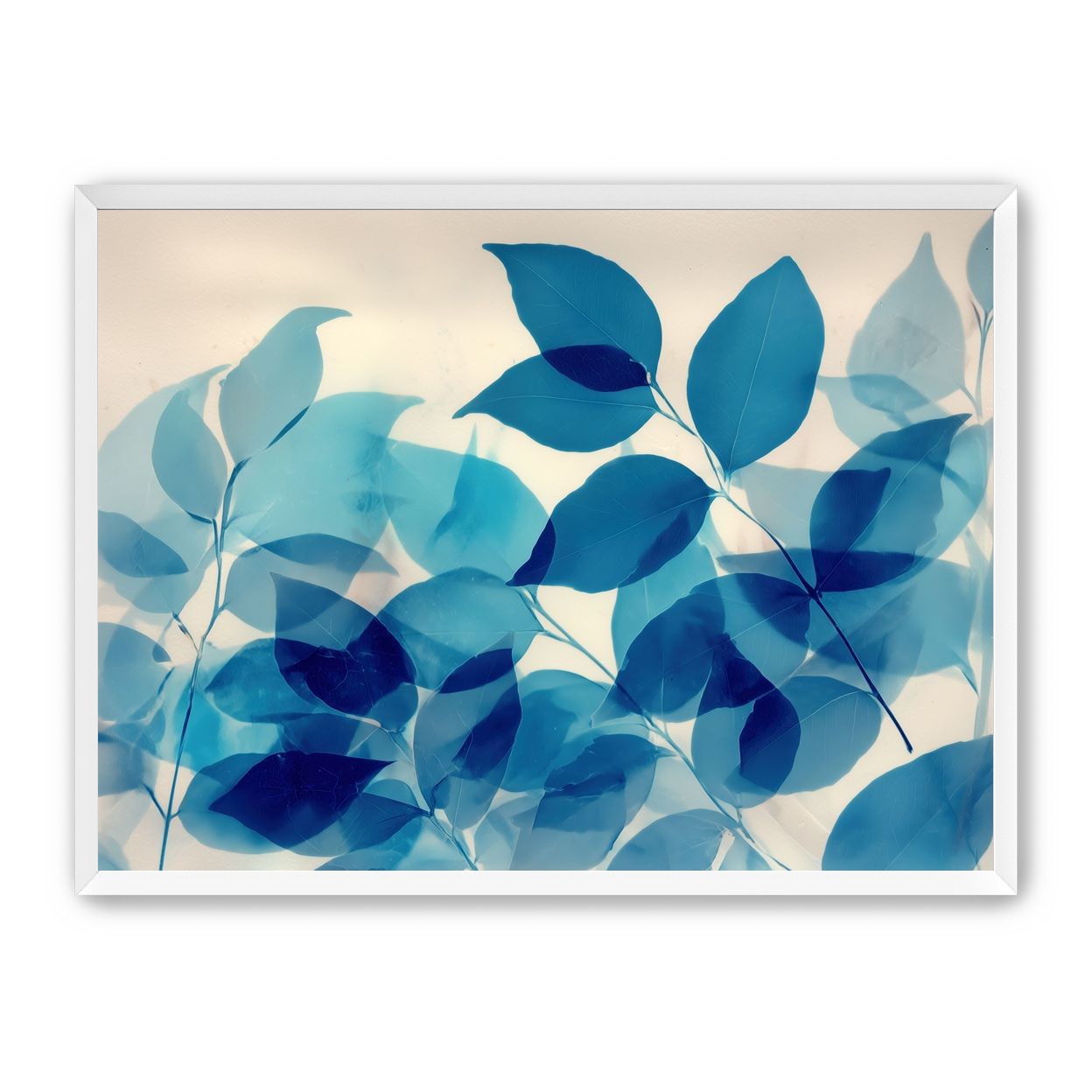 Leaves Spread in Light
