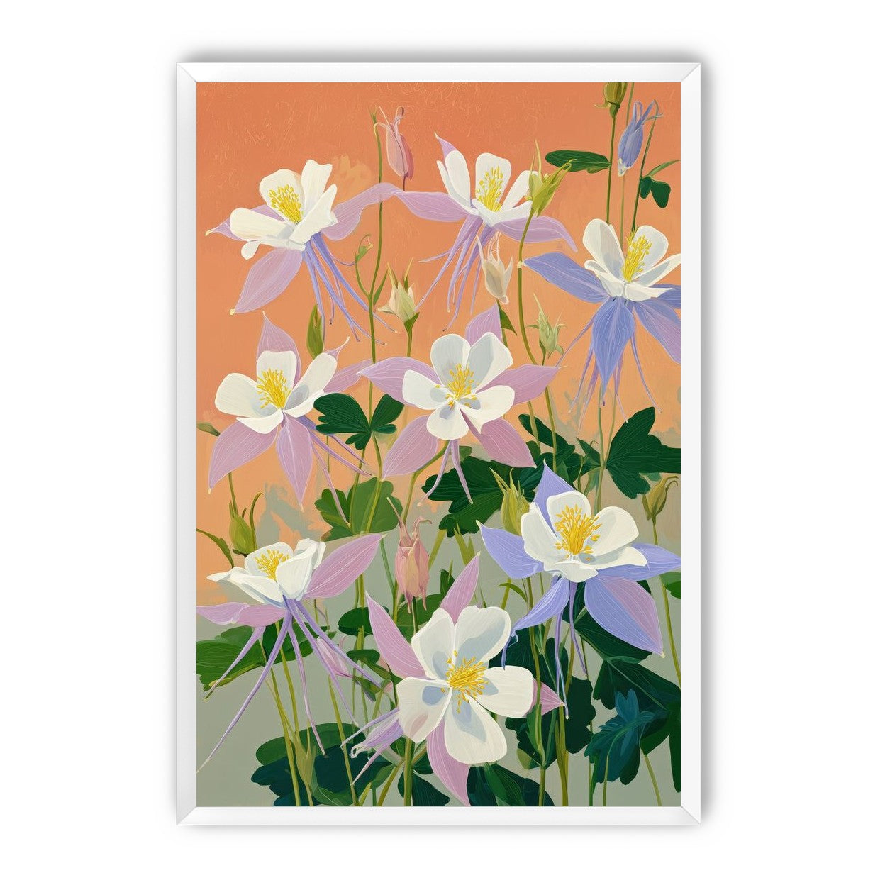 Columbines in Bloom