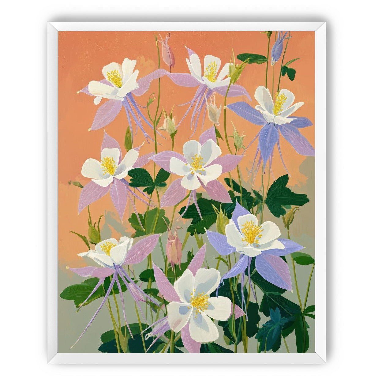 Columbines in Bloom
