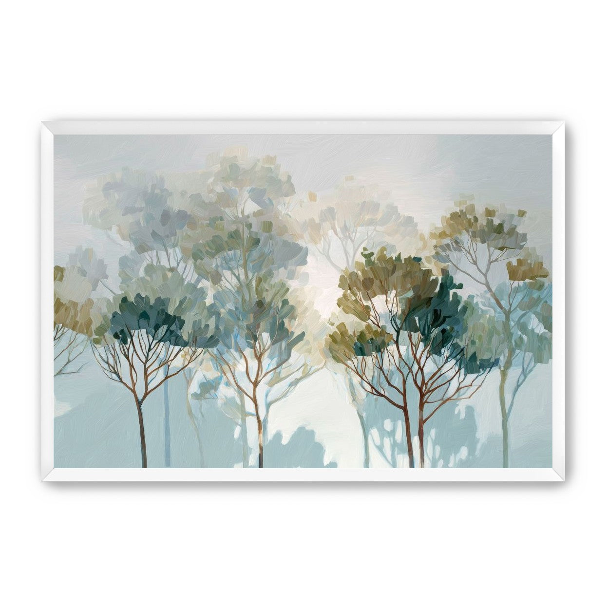 Multiple Trees in Gentle Light