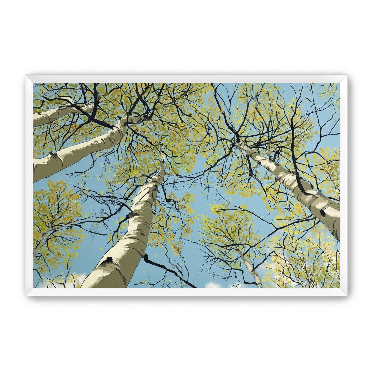 Yellow Leaves Against the Sky