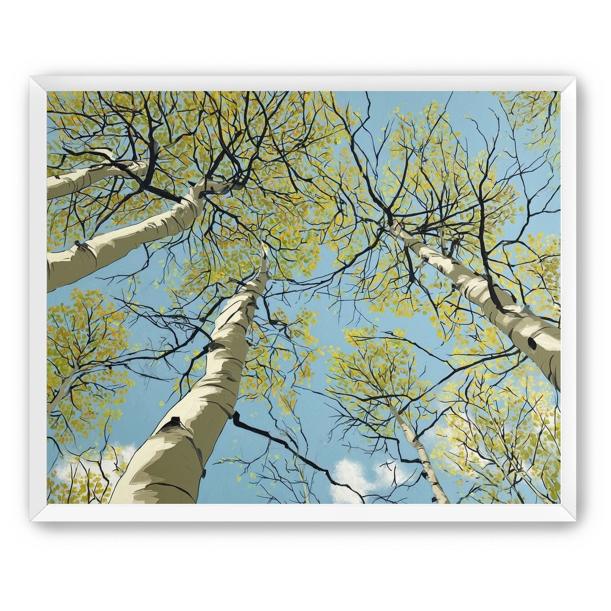 Yellow Leaves Against the Sky