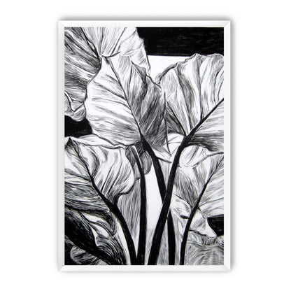 Overlapping Leaves on Dark Ground