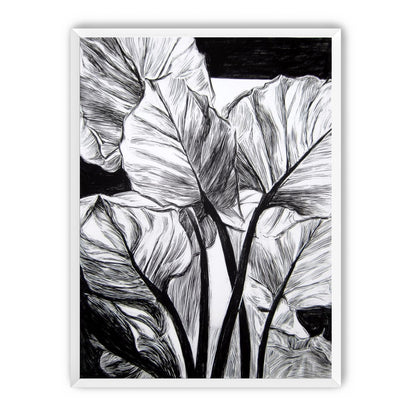 Overlapping Leaves on Dark Ground