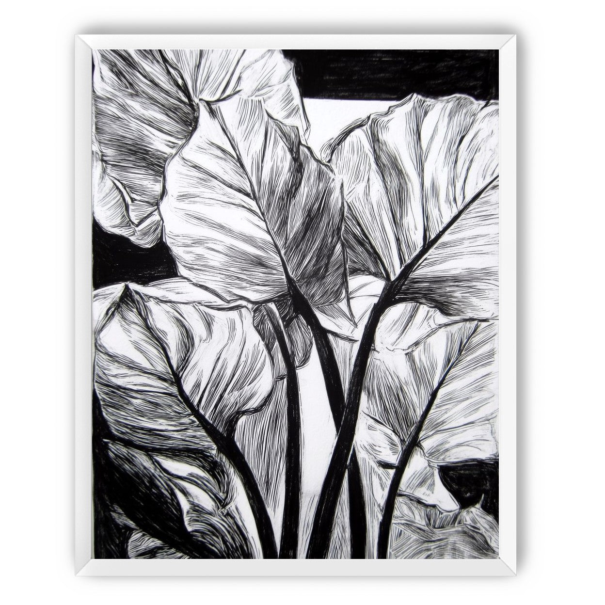 Overlapping Leaves on Dark Ground