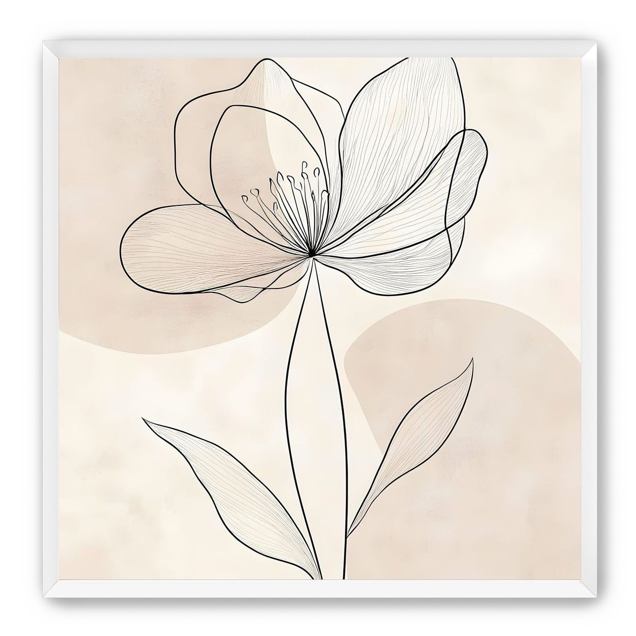 Single Bloom