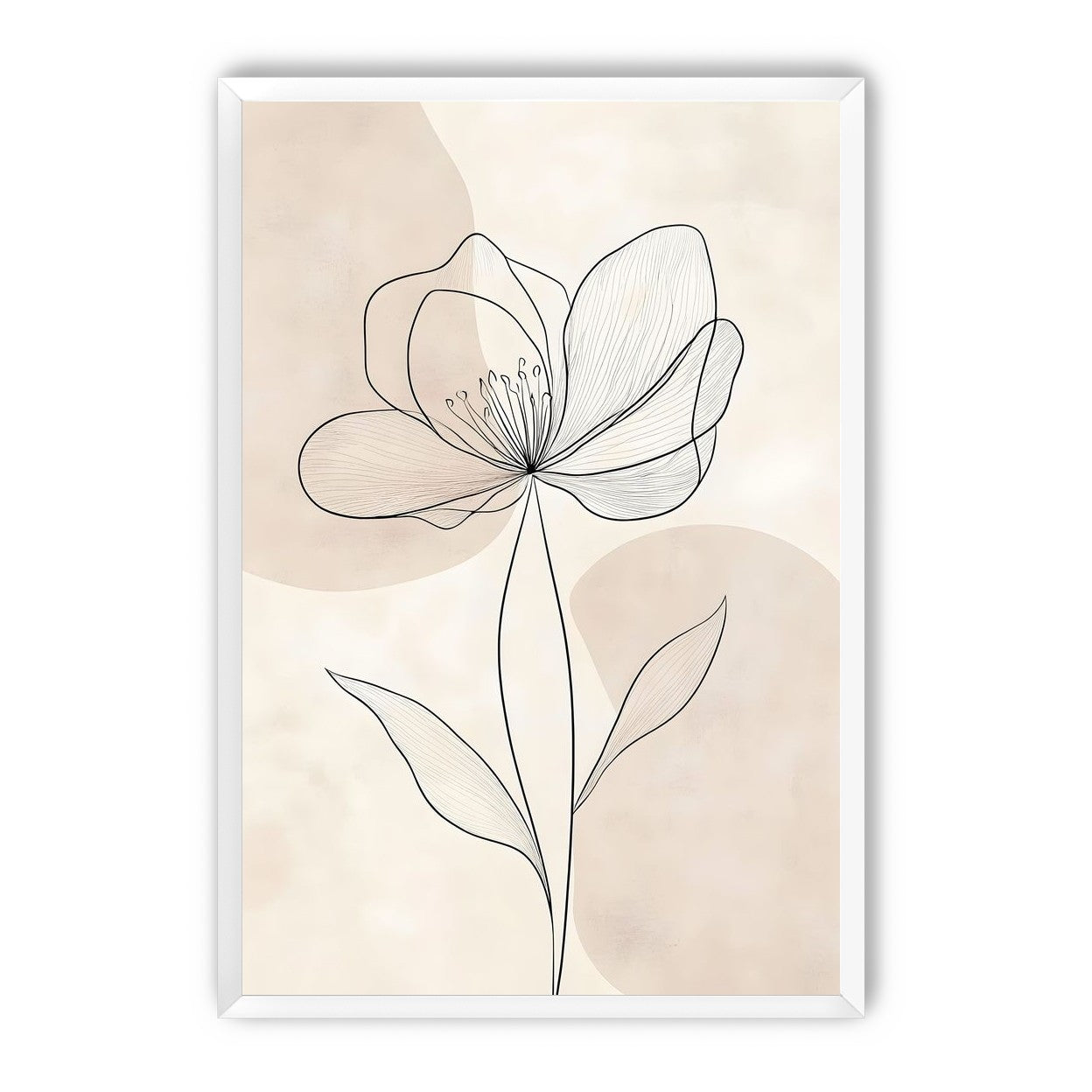 Single Bloom