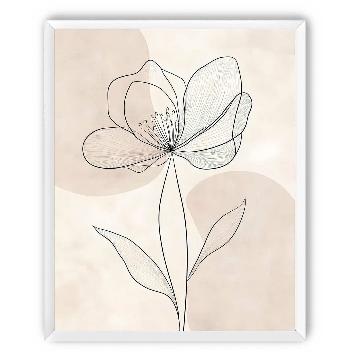 Single Bloom