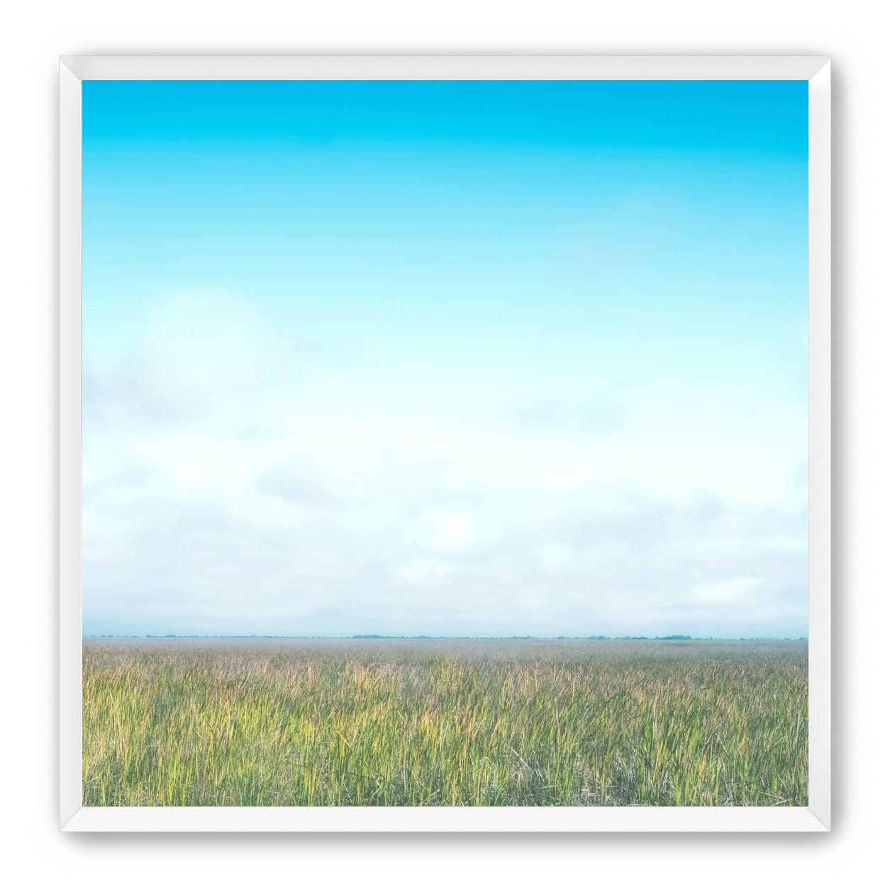 Grasslands