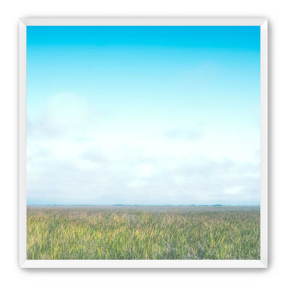 Grasslands