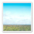 Grasslands
