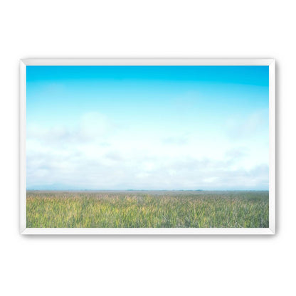 Grasslands