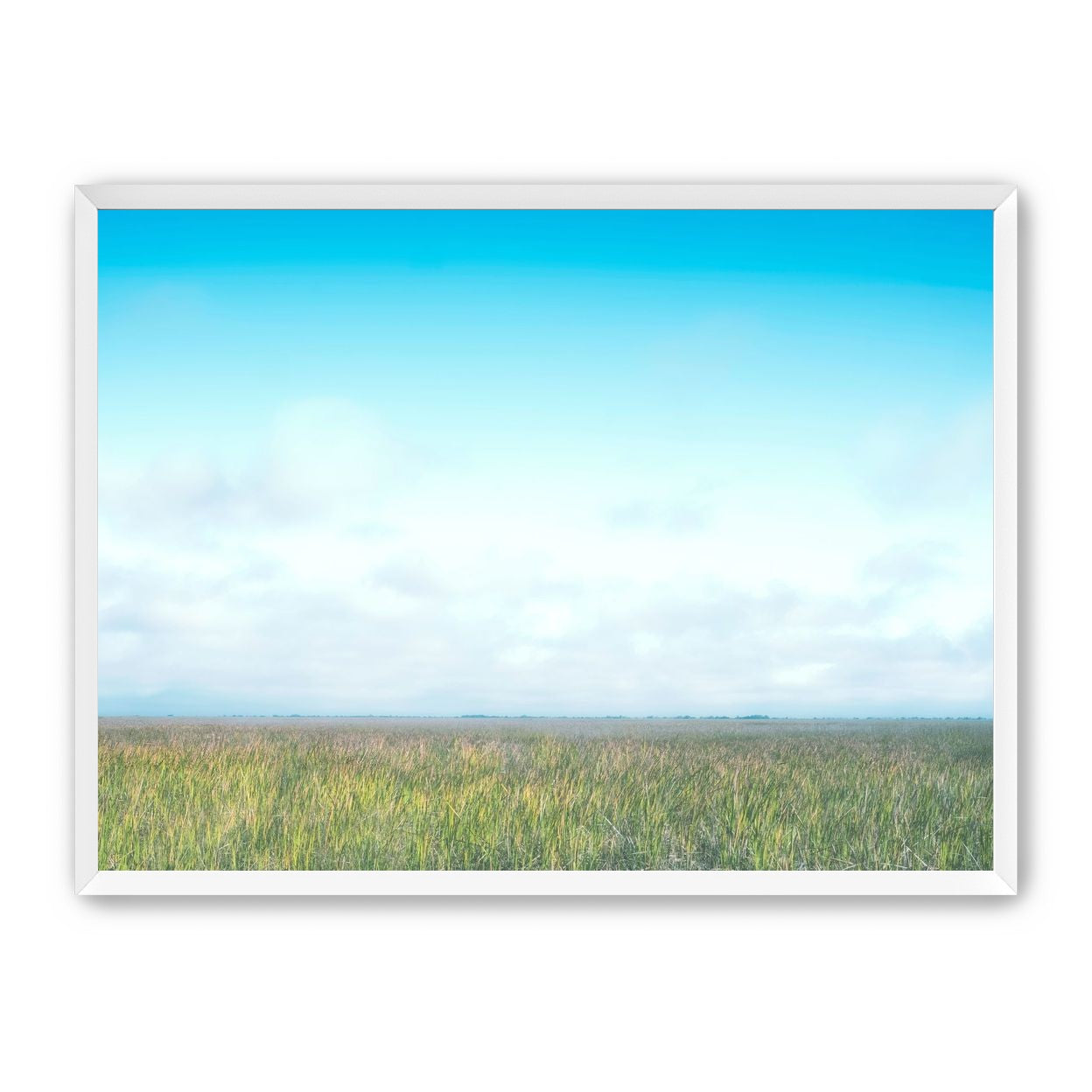 Grasslands