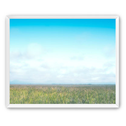 Grasslands