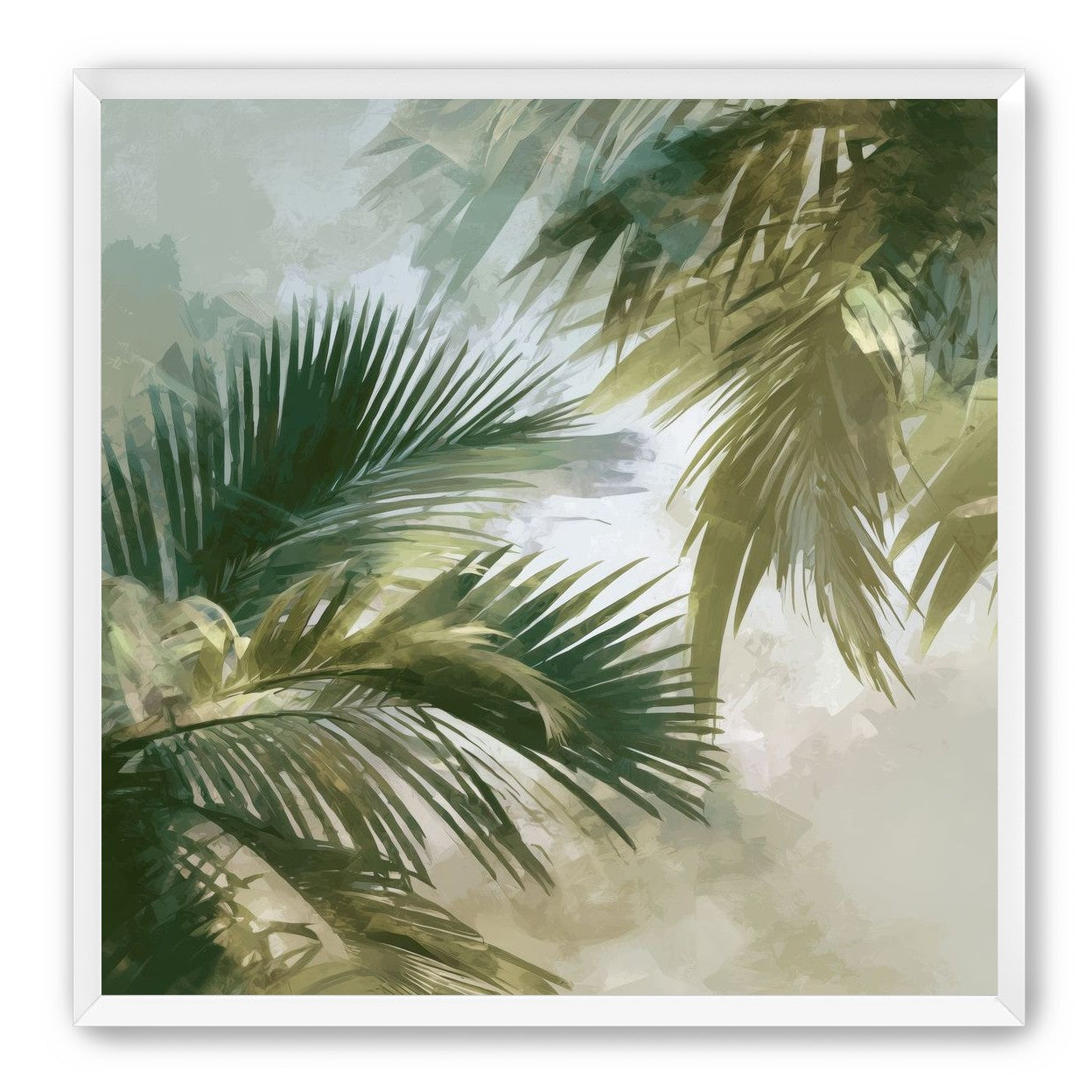Palm Canopy