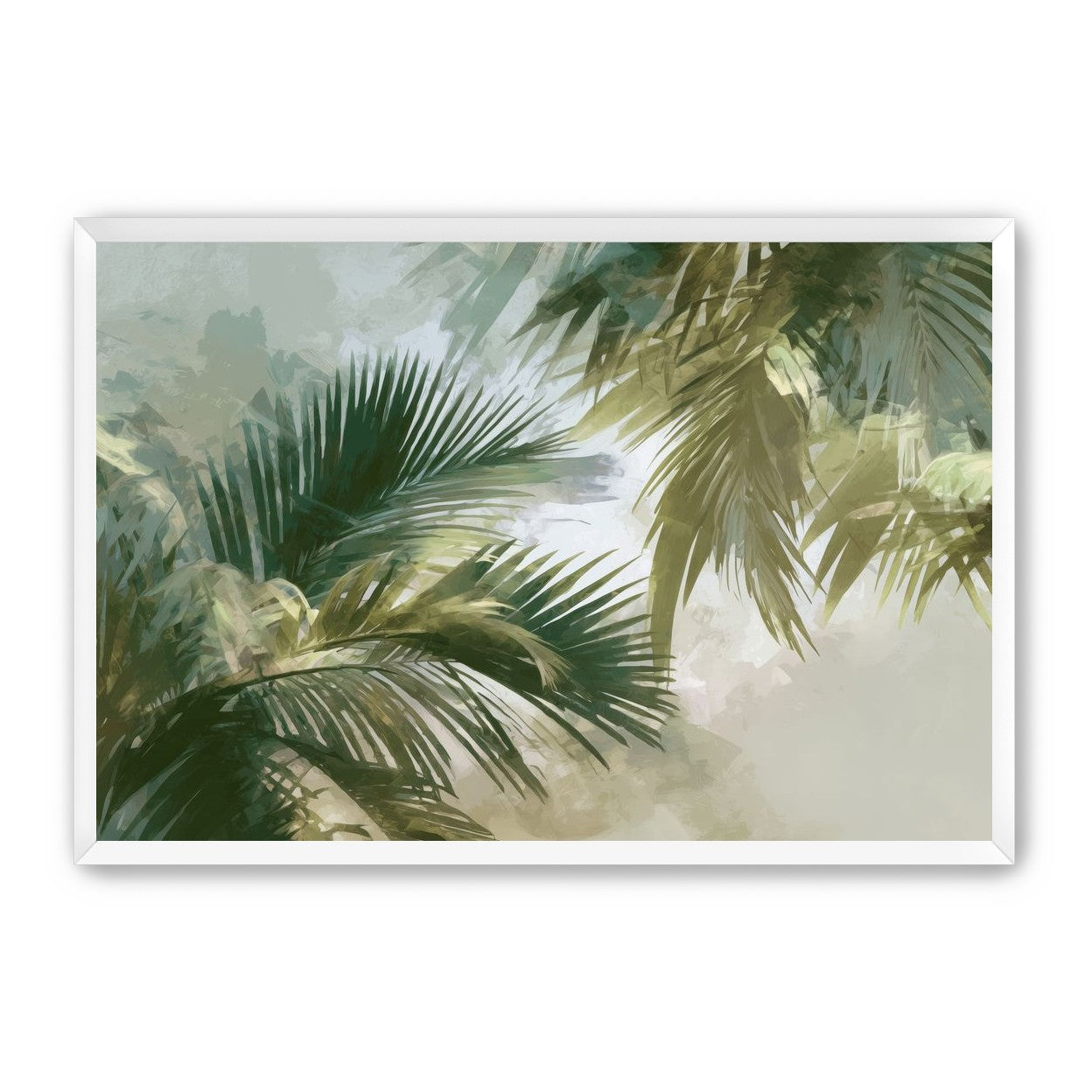 Palm Canopy