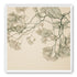 Open Canopies in Ink