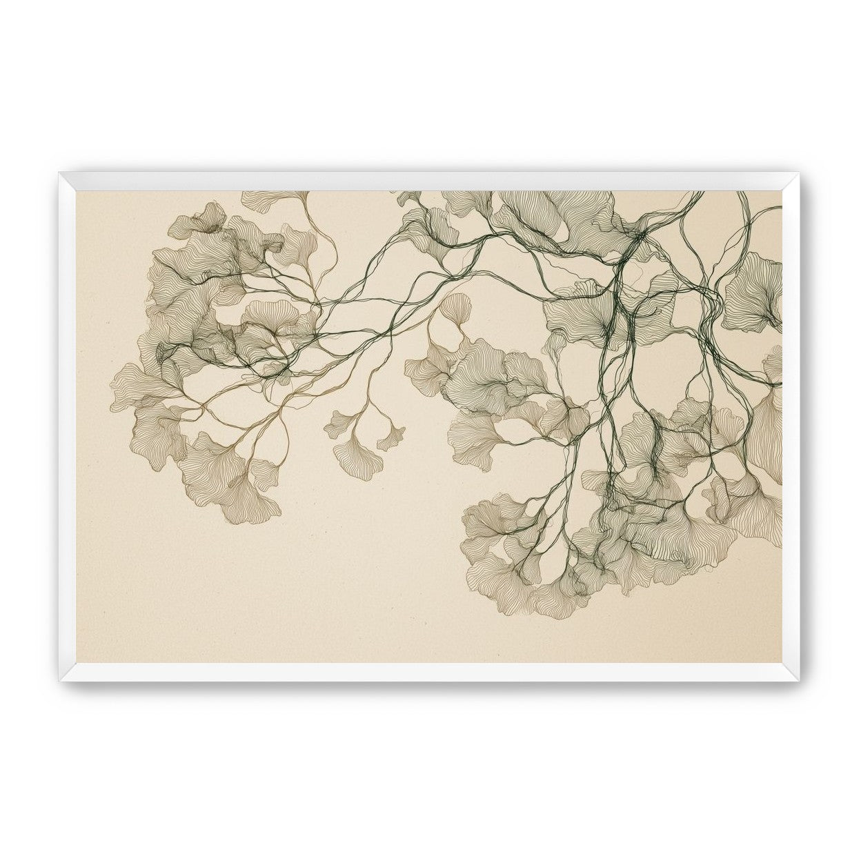 Open Canopies in Ink