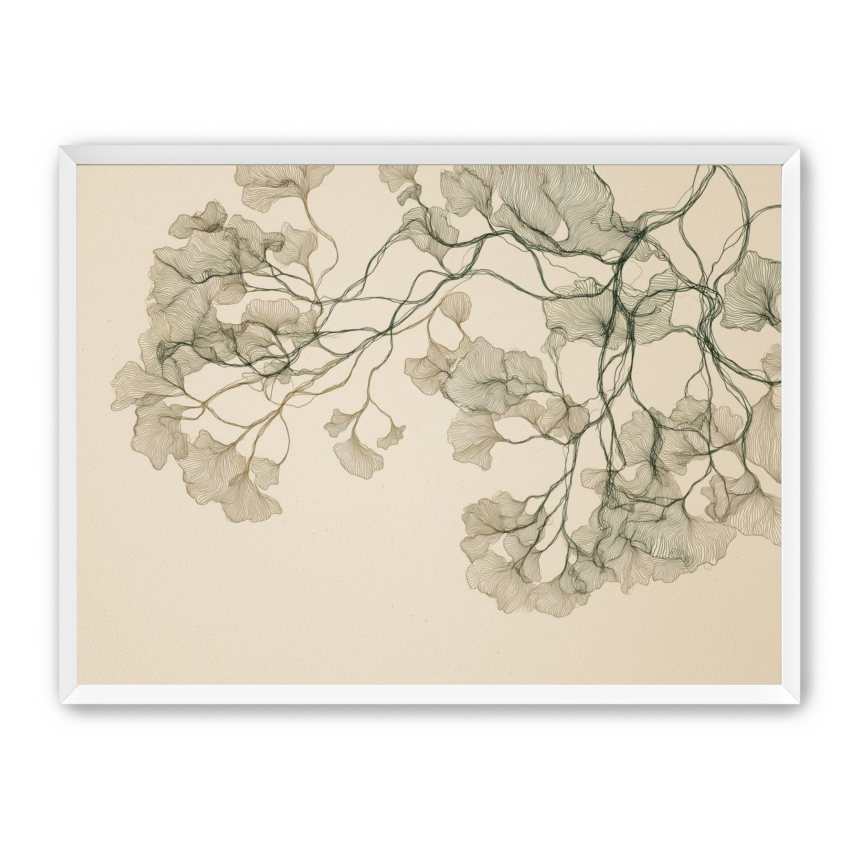 Open Canopies in Ink