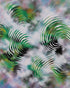 White haze over green spirals