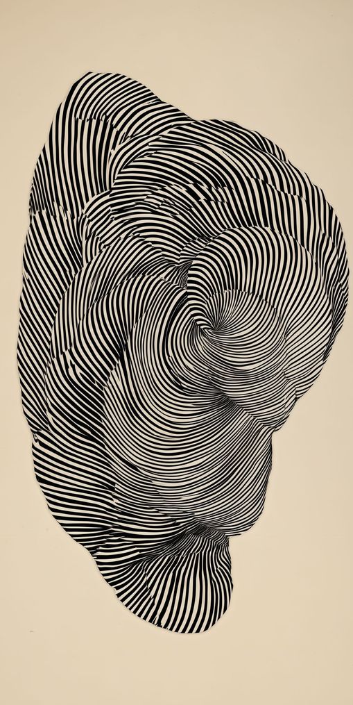 Vortex in a striped head