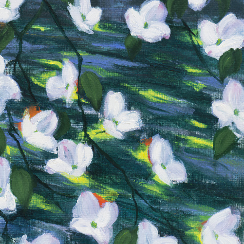 White blossoms on dark water