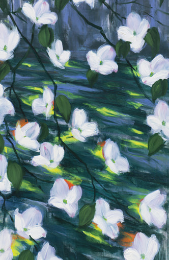 White blossoms on dark water