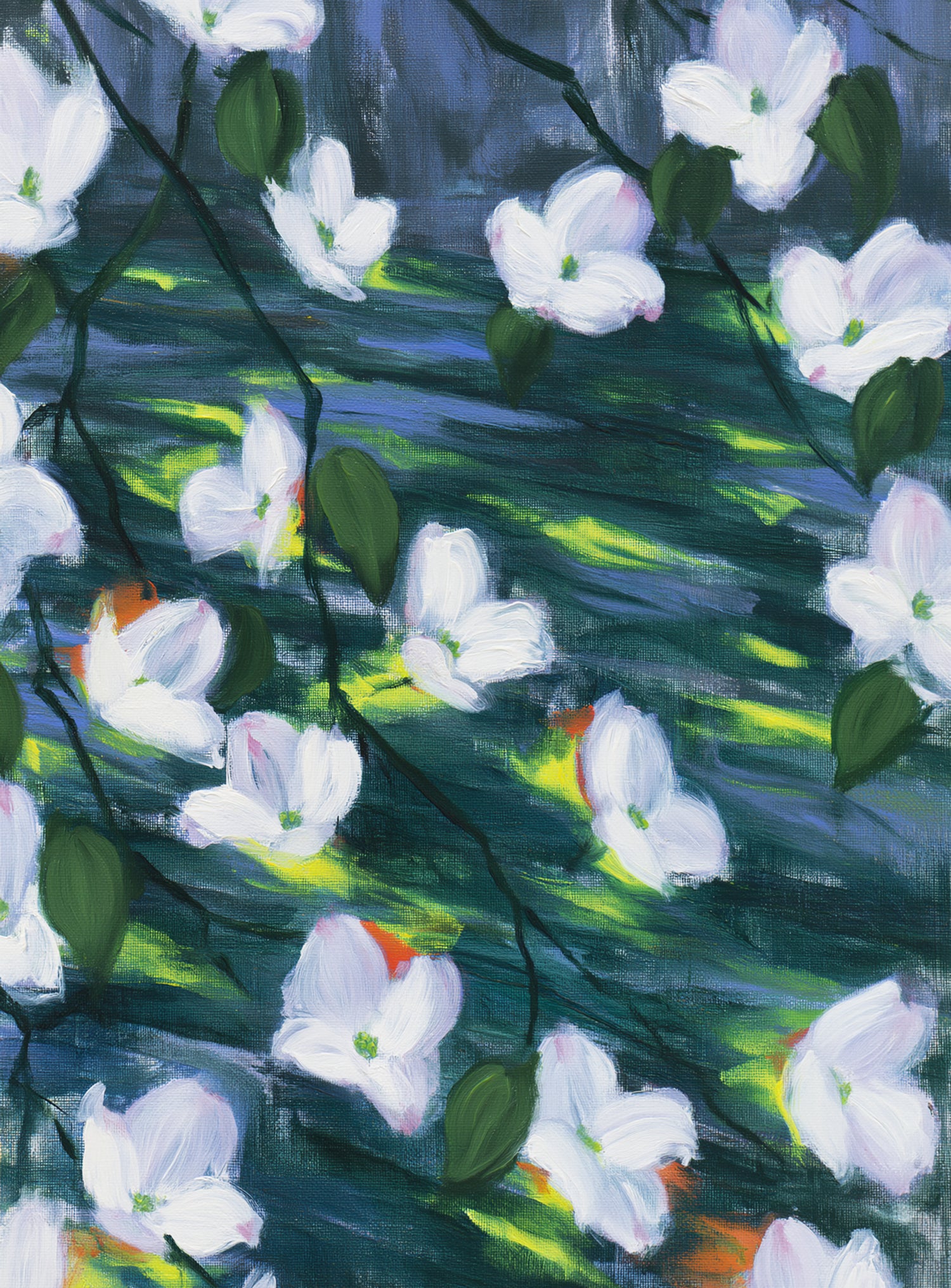 White blossoms on dark water