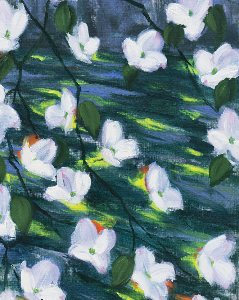 White blossoms on dark water