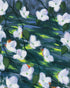 White blossoms on dark water
