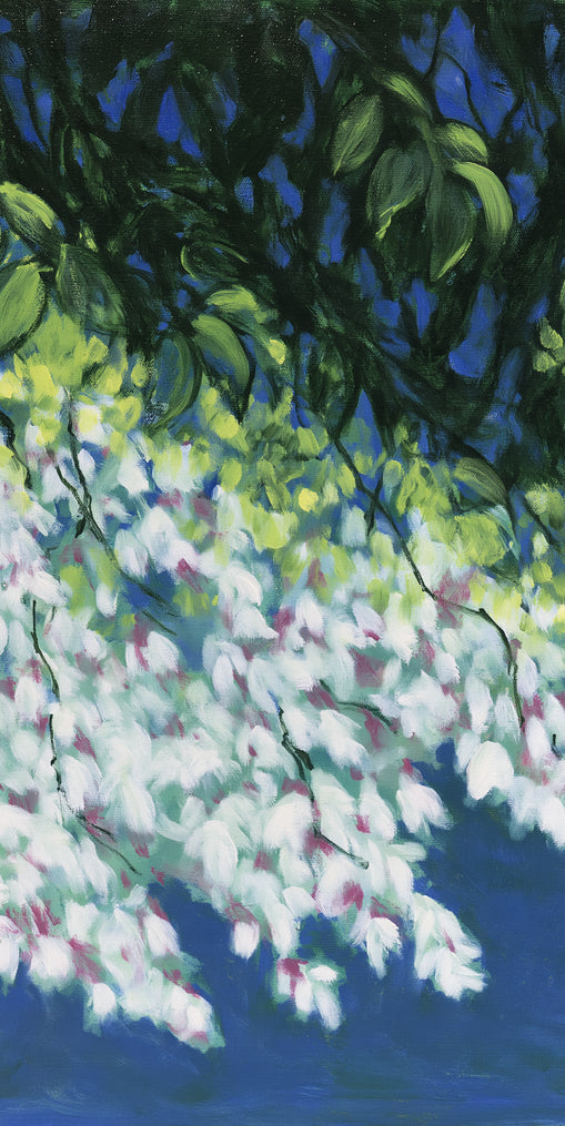 White blossoms in blue shade