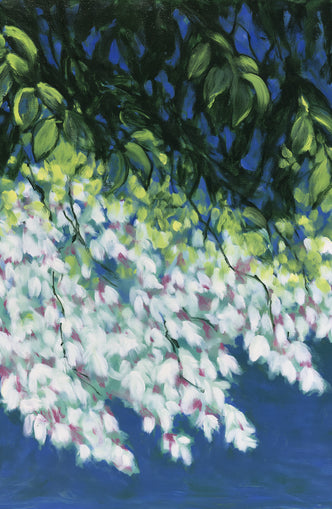 White blossoms in blue shade