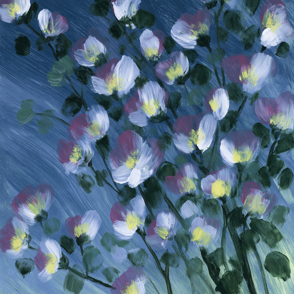 White blossoms on blue field