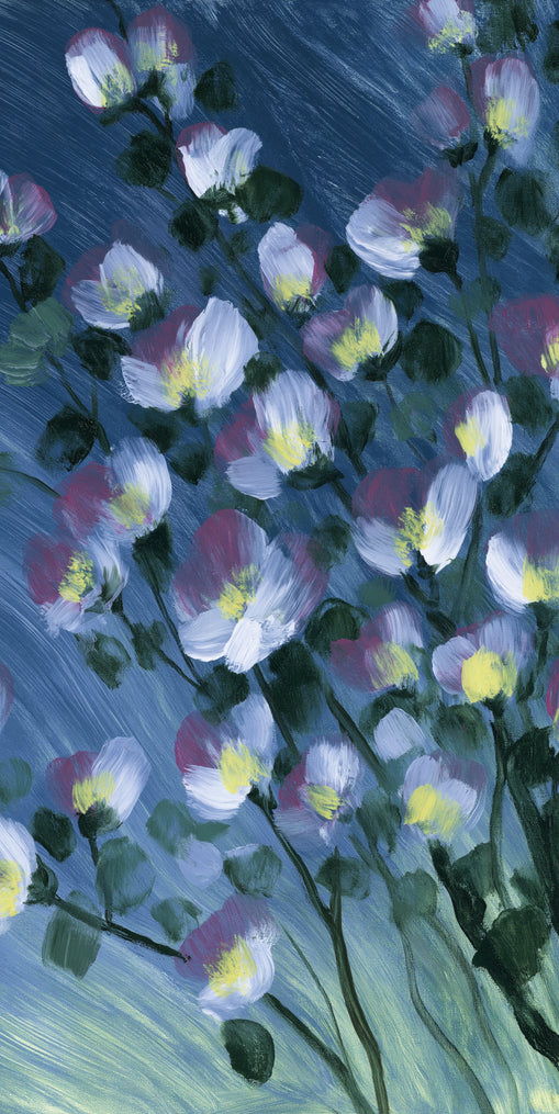 White blossoms on blue field