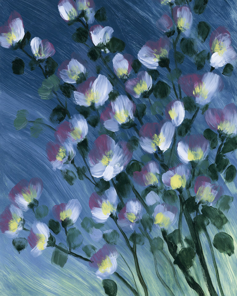 White blossoms on blue field
