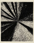 Black rays into grain