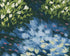 Water lilies over passing fish