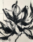 Black petals on pale grid