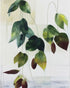 Leaves suspended in quiet air