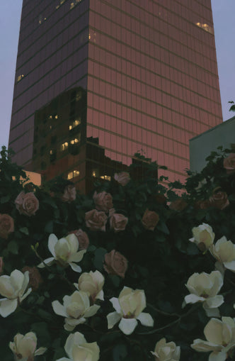 Pink tower above magnolias