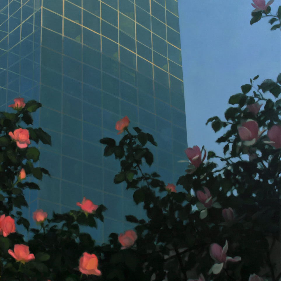 Roses beneath blue towers