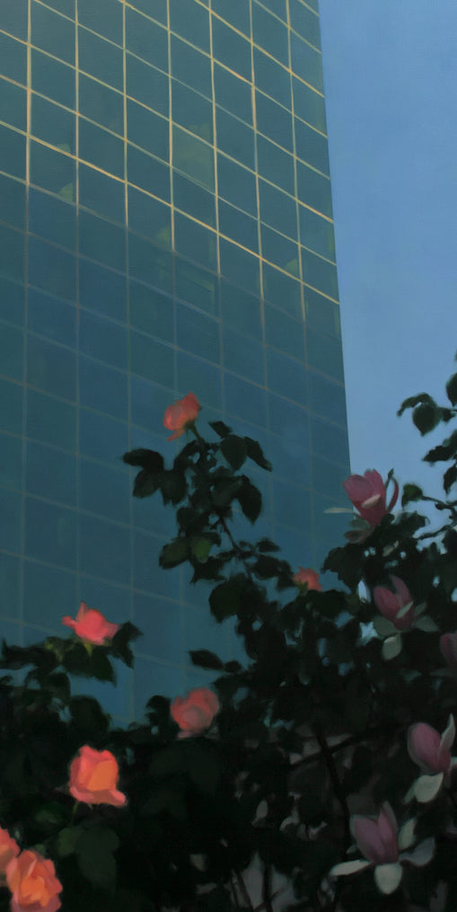 Roses beneath blue towers