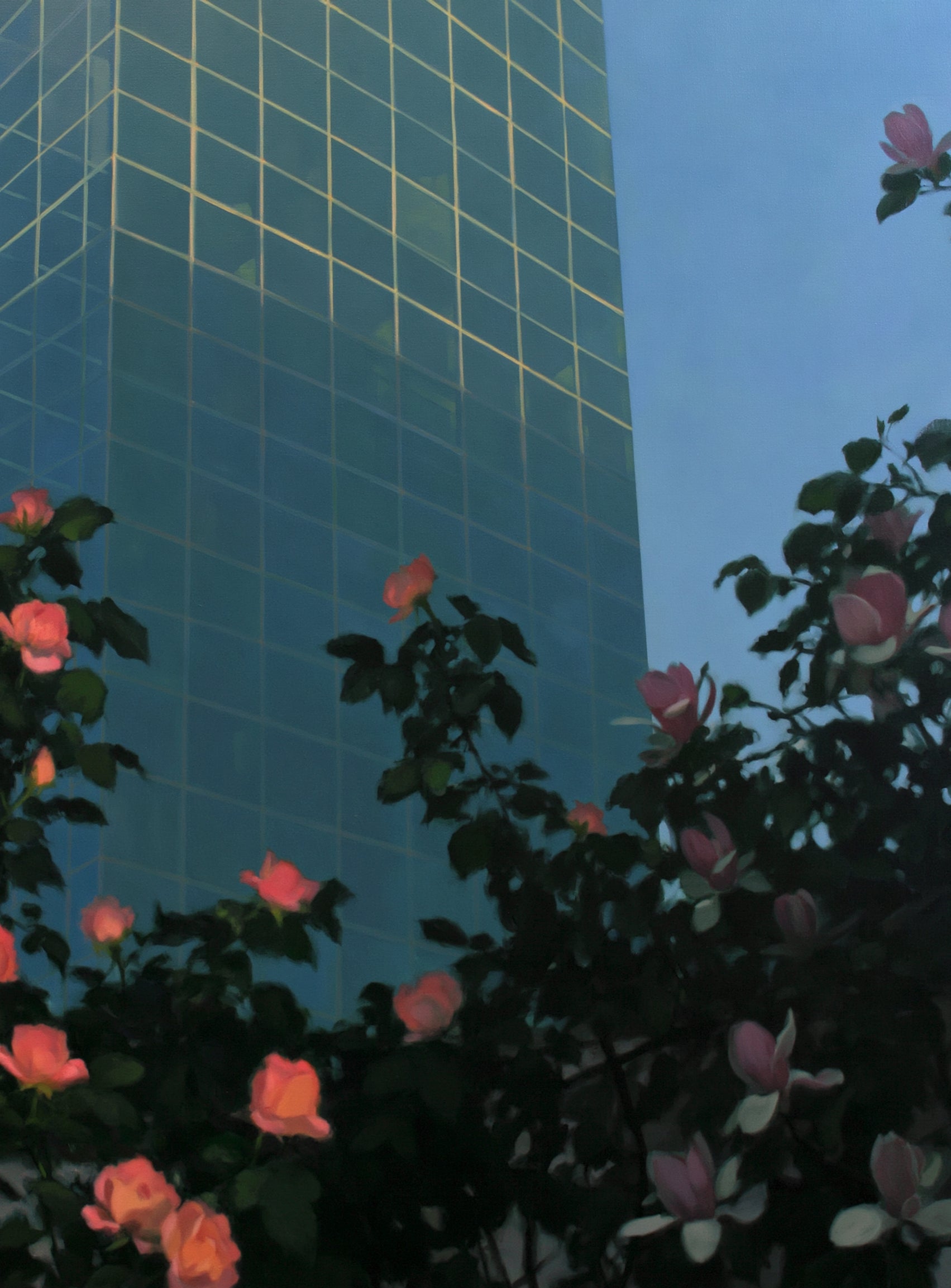 Roses beneath blue towers