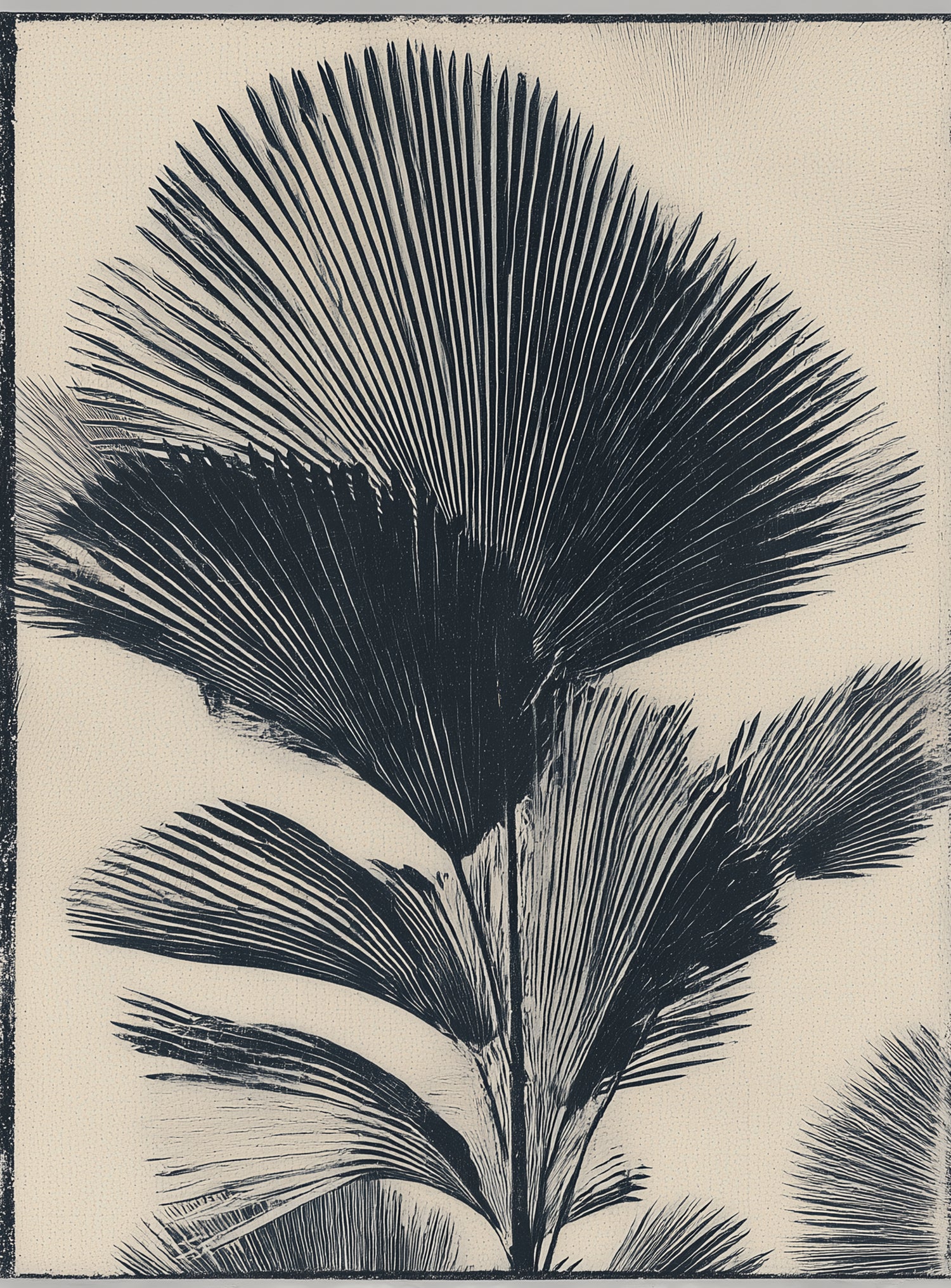 Palm fronds in black ink