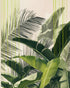 Green drips over palms
