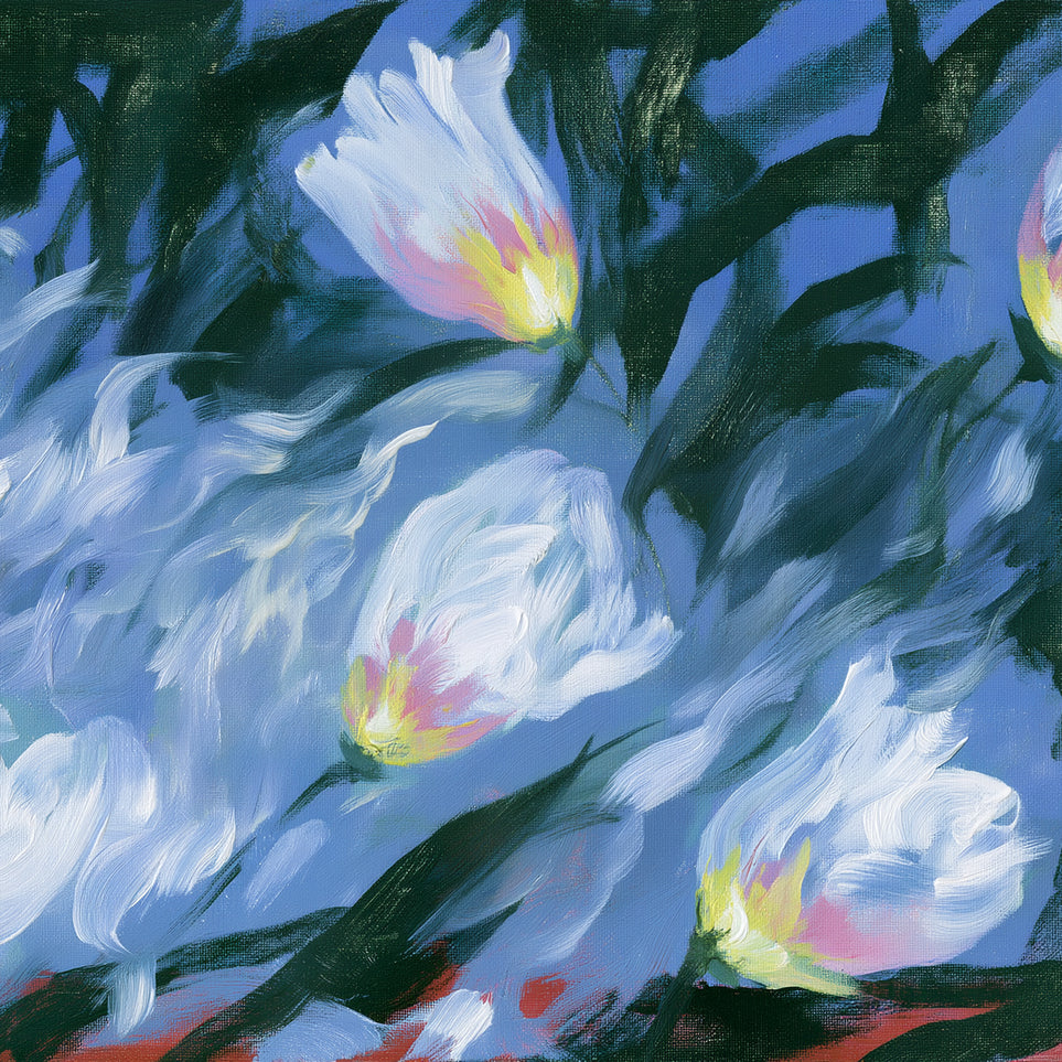 White tulips on blue ground
