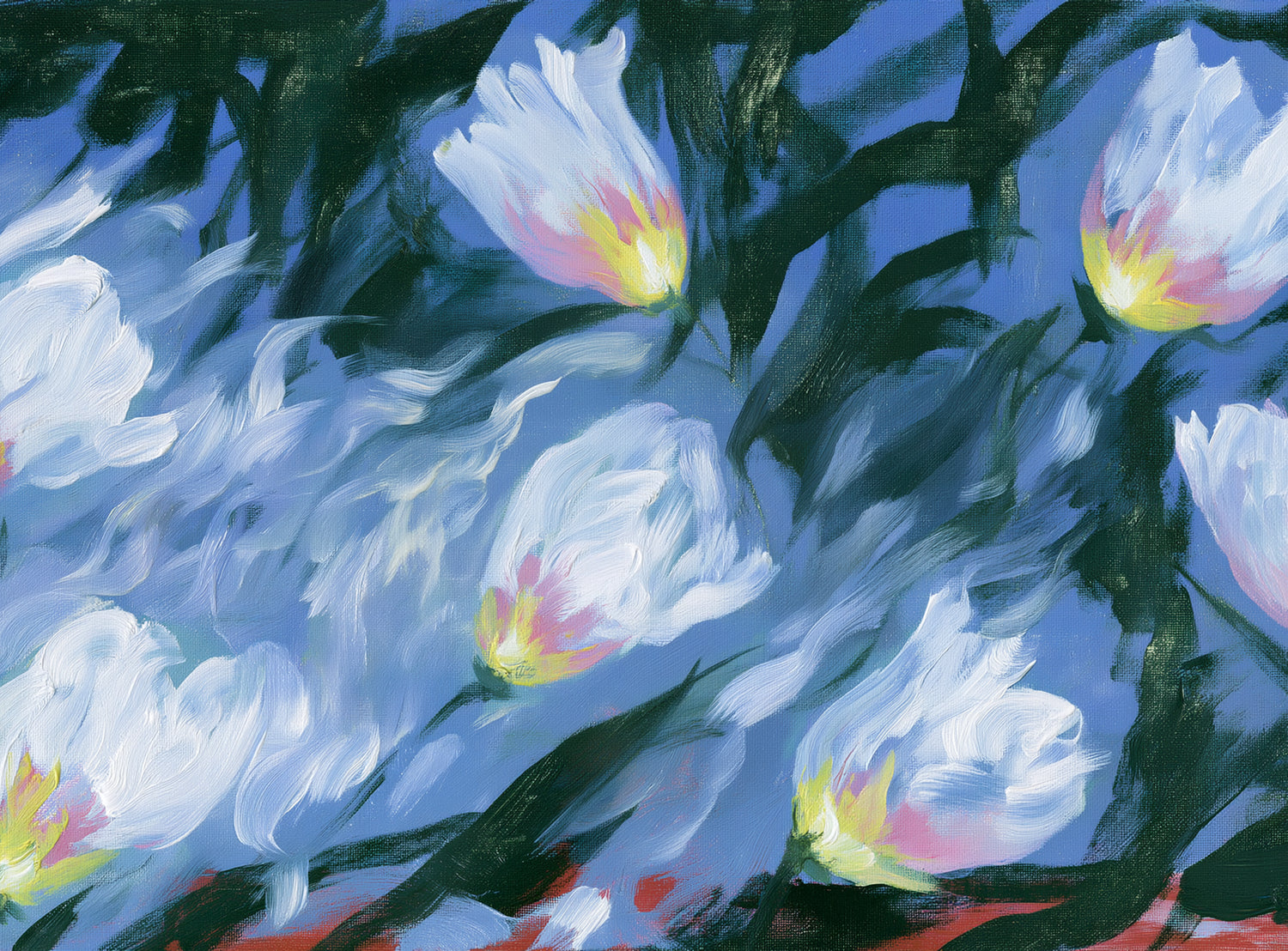 White tulips on blue ground