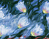 White tulips on blue ground