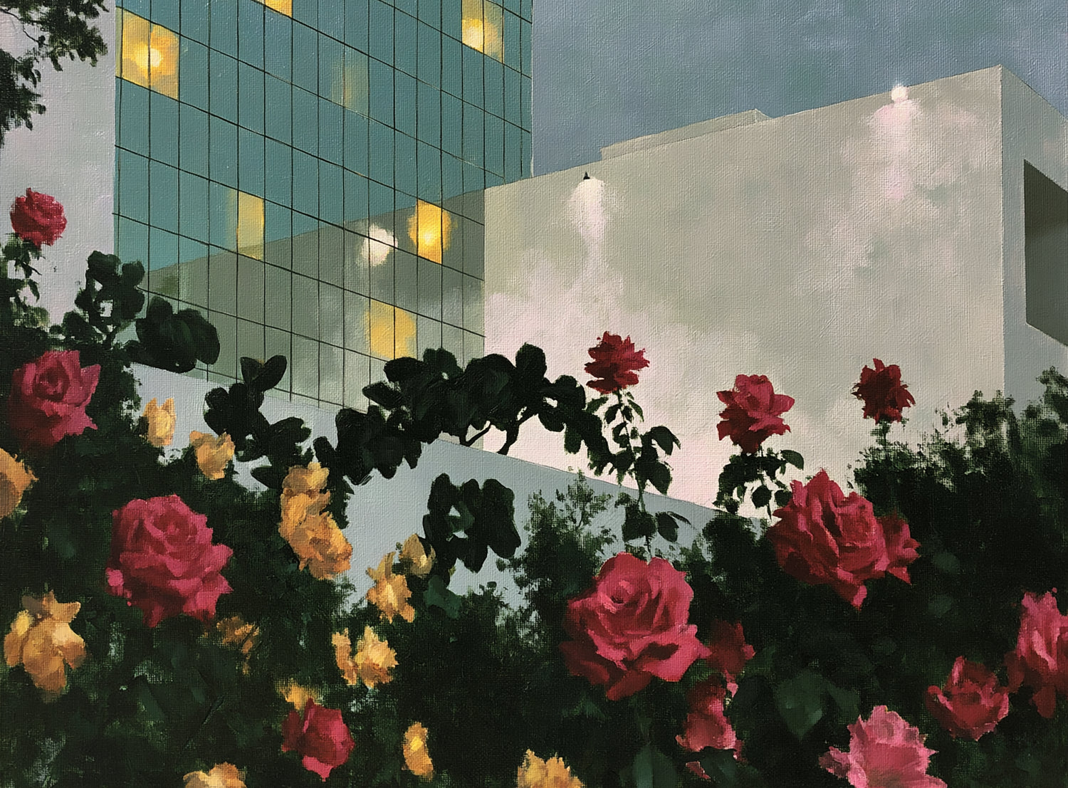 Roses under office lights
