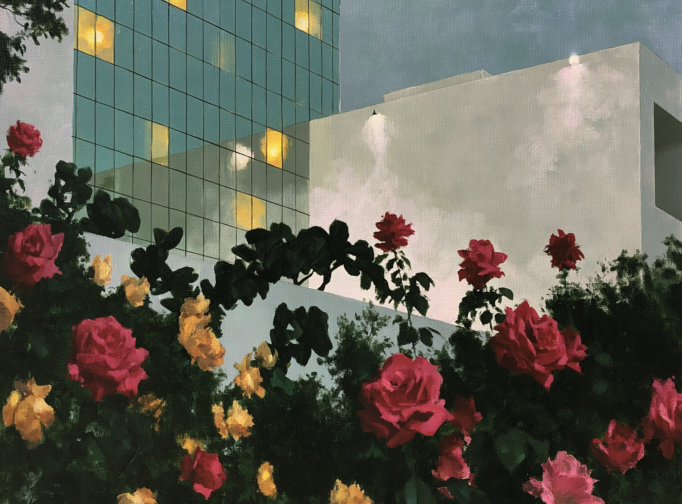 Roses under office lights